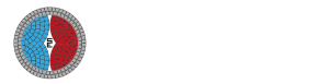 Pflasterbau Salih Elezi GmbH